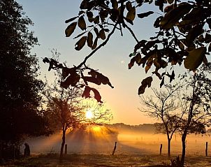 Verblijf 533306 - Vakantiewoning Salland - Vakantiehuis in Wesepe