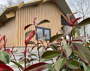 Verblijf 533803 • Vakantiewoning Salland • Lodgepark 't Vechtdal 