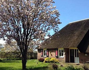 Unterkunft 533908 • Ferienhaus Salland • Vakantiehuisje in Lettele 