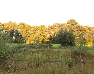 Grne Wiese in der Nhe des Ferienhauses in Lettele, idyllische Landschaft von Salland.