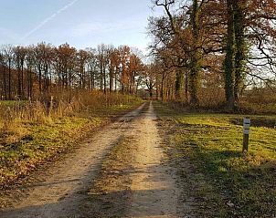Bewaldetes Gebiet in der Nhe des Ferienhauses in Lettele, ideal fr Wanderungen in Salland.