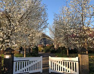 Blhende Bume am Eingang des Huisje in Lettele, Ferienhaus in Salland, Overijssel.