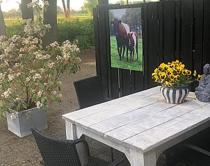 Gemtliche Terrasse mit Blumen am Huisje in Lettele, Ferienhaus in Salland, Overijssel.