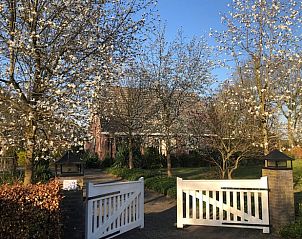 Blhende Bume am Eingang des Huisje in Lettele, Ferienunterkunft in Overijssel.