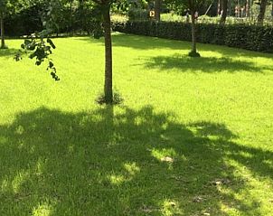 Gerumiger grner Garten im Cottage in Lettele, Ferienunterkunft in Salland.