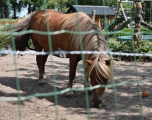 Unterkunft 533912 - Ferienhaus Salland - Huisje in Lettele