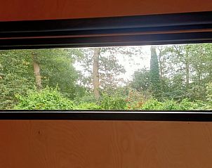 Blick auf die grne Natur vom Ferienhaus in Lettele, Salland, Overijssel.