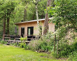 Ferienhaus in Lettele, Salland, Overijssel, umgeben von ppiger Natur.