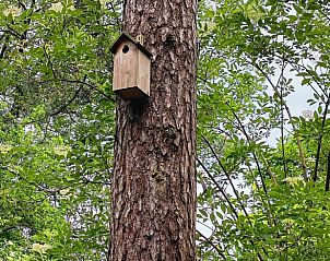 Vogelhaus im Garten des Ferienhauses in Lettele, Salland, Overijssel fr Naturliebhaber.