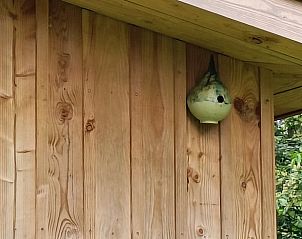 Auergewhnliches Vogelnest an der Fassade eines Ferienhauses in Lettele, Salland, Overijssel.