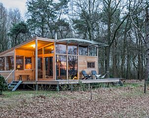 Unterkunft 533914 - Ferienhaus Salland - Vakantiehuis in Lettele