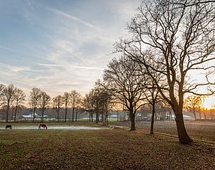 Unterkunft 533914 - Ferienhaus Salland - Vakantiehuis in Lettele