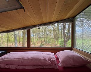 Unterkunft 533914 - Ferienhaus Salland - Vakantiehuis in Lettele