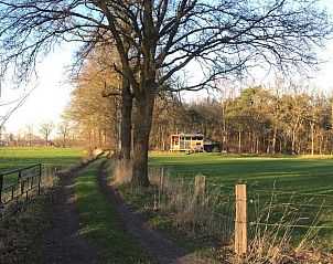 Verblijf 533915 - Vakantiewoning Salland - Natuurcabin