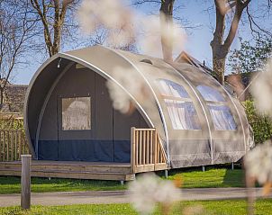Unterkunft 534413 • Zelthaus Salland • 6-persoons Big Oak Tent 