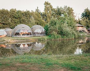 Guest house 534424 - Tent house Salland - Round Holly Tent