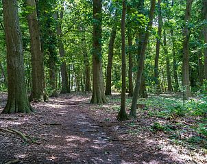 Verblijf 534601 - Vakantiewoning Salland - Reggezicht