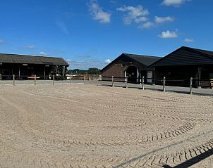 Zandplaats bij Huisje in Boskamp, vakantiehuis in Salland, Overijssel, ideaal voor buitenactiviteiten en recreatie.