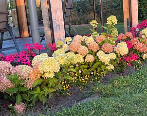 Unterkunft 540115 - Ferienhaus Vechtstreek - Vakantiehuisje in Ommen