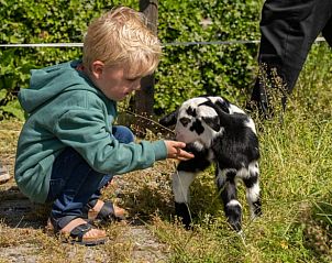 Unterkunft 540115 - Ferienhaus Vechtstreek - Vakantiehuisje in Ommen