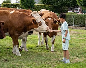 Unterkunft 540115 - Ferienhaus Vechtstreek - Vakantiehuisje in Ommen