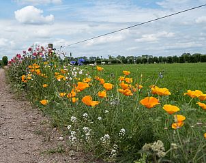Unterkunft 540115 - Ferienhaus Vechtstreek - Vakantiehuisje in Ommen