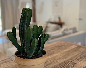 Guest house 540116 - Holiday property Vechtstreek - Vakantiehuis in Ommen