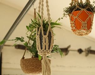 Unterkunft 540119 - Ferienhaus Vechtstreek - Vakantiehuisje in Ommen