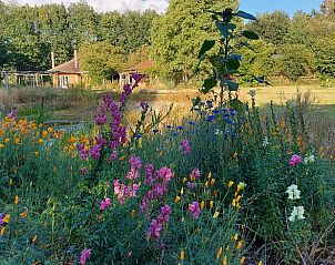 Unterkunft 540119 - Ferienhaus Vechtstreek - Vakantiehuisje in Ommen