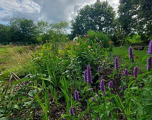 Unterkunft 540119 - Ferienhaus Vechtstreek - Vakantiehuisje in Ommen
