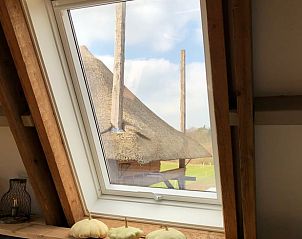 Guest house 540120 - Holiday property Vechtstreek - Huisje in Ommen