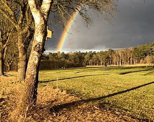 Guest house 540120 - Holiday property Vechtstreek - Huisje in Ommen