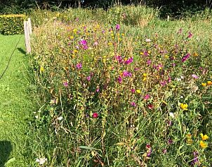 Guest house 540120 - Holiday property Vechtstreek - Huisje in Ommen