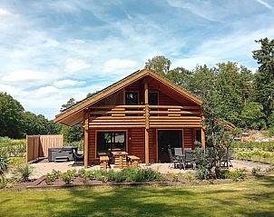 Vacation home in Ommen, a wooden vacation home in the Vecht region of Overijssel, surrounded by green nature.