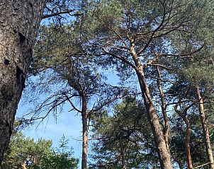 Unterkunft 540127 - Ferienhaus Vechtstreek - Huisje in Ommen