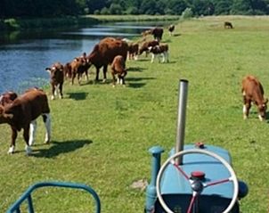 Guest house 540129 - Holiday property Vechtstreek - Huisje in Ommen