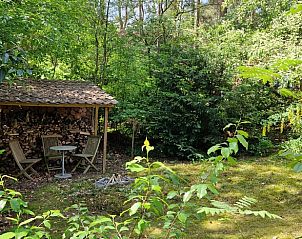 Unterkunft 540132 - Ferienhaus Vechtstreek - Huisje in Ommen