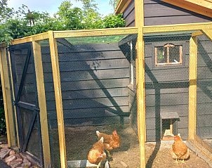 Verblijf 540152 - Vakantiewoning Vechtstreek - Het Ommetje Ommen