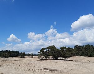 Verblijf 540152 - Vakantiewoning Vechtstreek - Het Ommetje Ommen