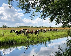 Unterkunft 540156 - Ferienhaus Vechtstreek - Vakantiehuisje in Ommen