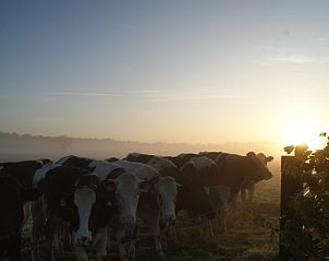 Prachtige zonsopgang over weiland bij De Buizerd vakantiewoning in Punthorst, Vechtstreek.