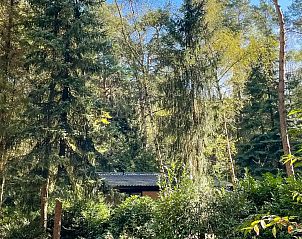 Guest house 540178 - Bungalow Vechtstreek - Bosbungalow Oosterhaard