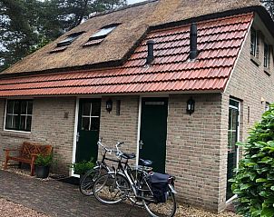 Unterkunft 540207 - Ferienhaus Vechtstreek - Huisje in Beerze