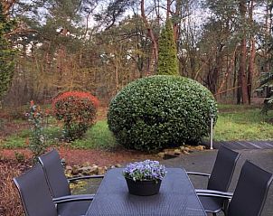 Unterkunft 540207 - Ferienhaus Vechtstreek - Huisje in Beerze