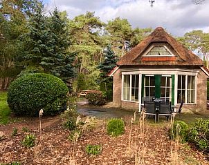 Unterkunft 540207 - Ferienhaus Vechtstreek - Huisje in Beerze