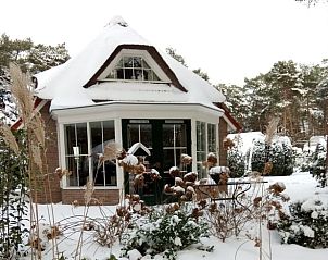 Unterkunft 540207 - Ferienhaus Vechtstreek - Huisje in Beerze