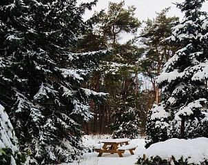 Unterkunft 540207 - Ferienhaus Vechtstreek - Huisje in Beerze