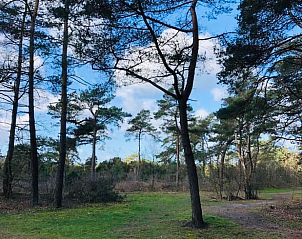 Unterkunft 540207 - Ferienhaus Vechtstreek - Huisje in Beerze