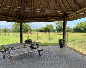 Unterkunft 540208 - Ferienhaus Vechtstreek - Vakantiehuisje in Beerze