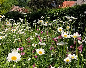 Unterkunft 540215 - Ferienhaus Vechtstreek - Vakantiehuisje in Beerze